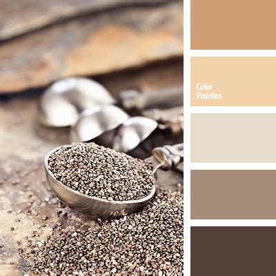 color of raw umber | Color Palette Ideas