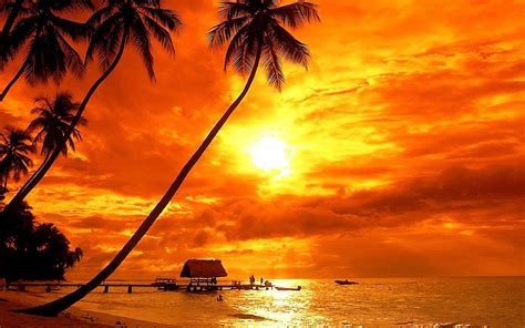 Bora Bora Tropical Sunset Beach Palm Trees Red Sky Clouds Ultra Hd K ...