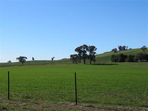 Hillview Farmstay - For Sale - Lifestyle Businesses Australia