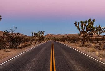 Las Vegas to Los Angeles Road Trip - Travellers Autobarn USA