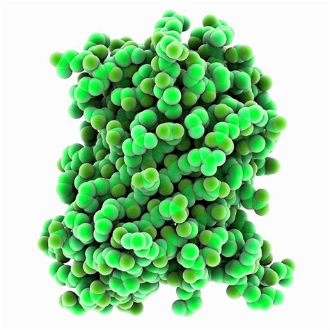 Green Fluorescent Protein Molecule #5 Photograph by Laguna Design ...