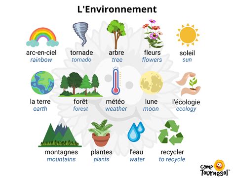 Useful French Vocabulary: The Environment