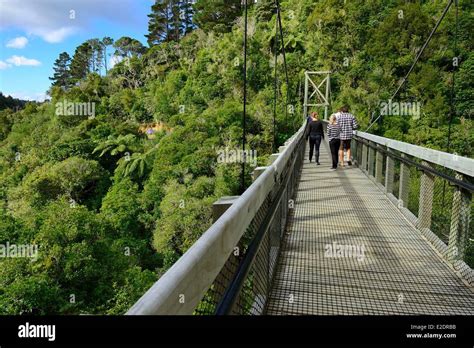 New zealand wildlife sanctuary hi-res stock photography and images - Alamy