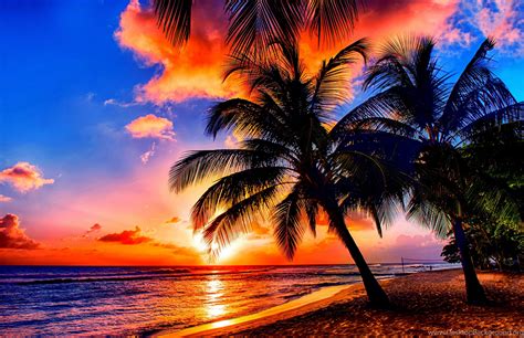 🔥 Download Tropical Desktop Wallpaper Pictures by @smullen28 | Tropical Desktop Backgrounds ...