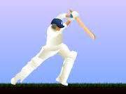 Cricket Top Spinner Game - Play Online Free