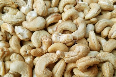 Cashew Kernels - Fomexco.com