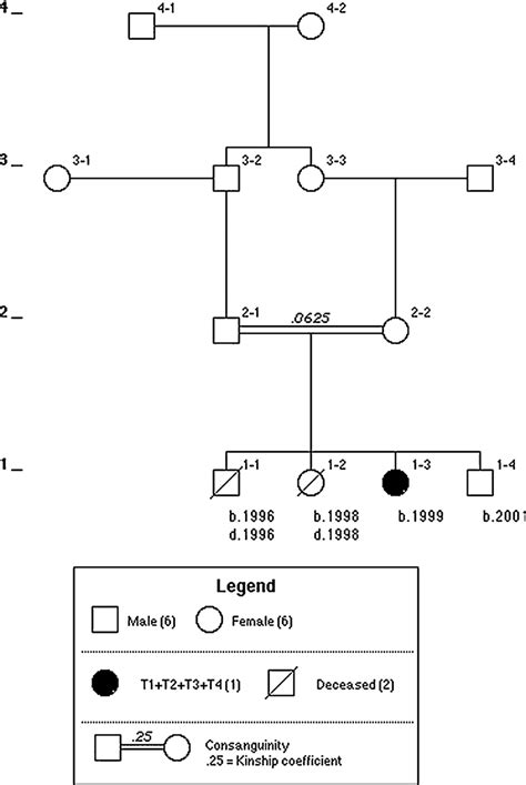 Chart Of Consanguinity