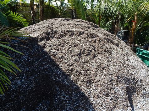 Cycad Soil | Sago palm, Soil, Potting mix