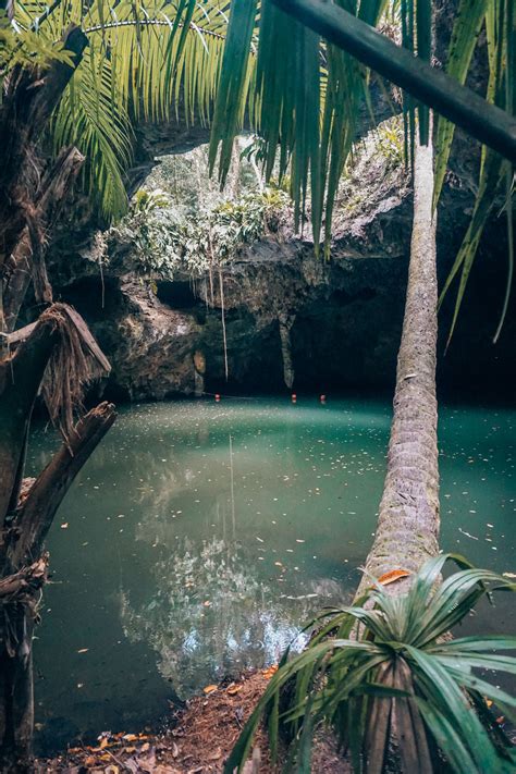 Shades of Emerald in the Jade Cavern - Cozumel, Mexico | Kraska Fox