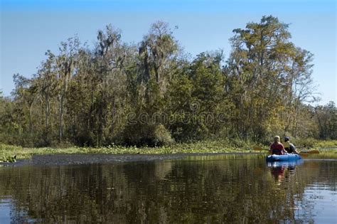 Kayaking the Creek stock photo. Image of moss, vacation - 1454704