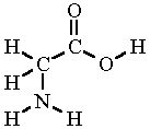 Glycine Formula & Structure