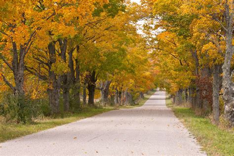 Michigan Fall Colors Map | secretmuseum