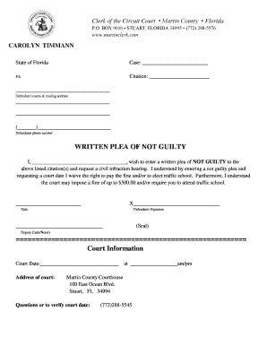 Written Not Guilty Plea Template - Fill and Sign Printable Template Online