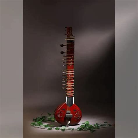 Sitar Professional Standard Tuning Amazing Sound Professional - Etsy