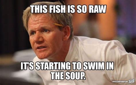 Raw Fish | Gordon ramsay funny, Gordon ramsay, Really funny