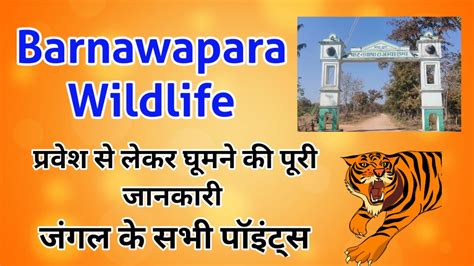 Barnawapara Wildlife Sanctuary | Barnawapara Chhattisgarh | बारनवापारा ...