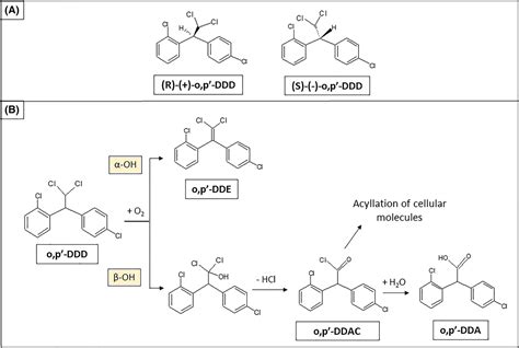 Pharmacological profile and effects of mitotane in adrenocortical ...