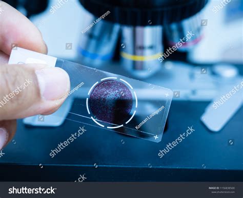 38,700 Microscope hand Images, Stock Photos & Vectors | Shutterstock