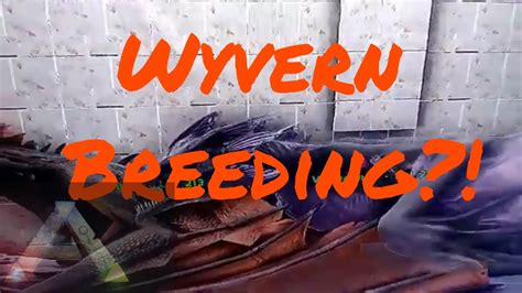 Ark: Wyvern Breeding?! - YouTube