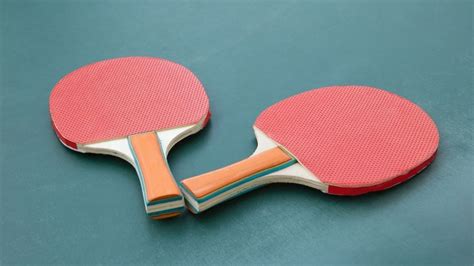 Basic Types Of Table Tennis Equipment & Accessories - SportsDean