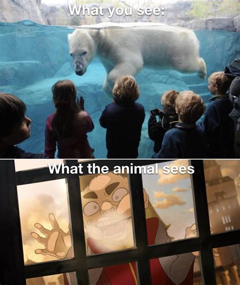 Zoo meme : r/memes