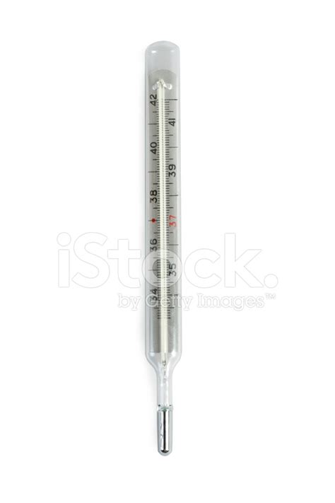 The Medical Glass Mercury Thermometer Stock Photo | Royalty-Free | FreeImages