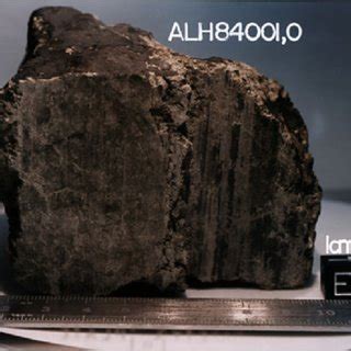 Life on Mars. Martian meteorite ALH84001 containing magnetite ...