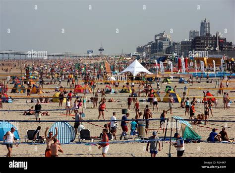 High season on the beach of Scheveningen, beach district of The Hague, the largest seaside ...