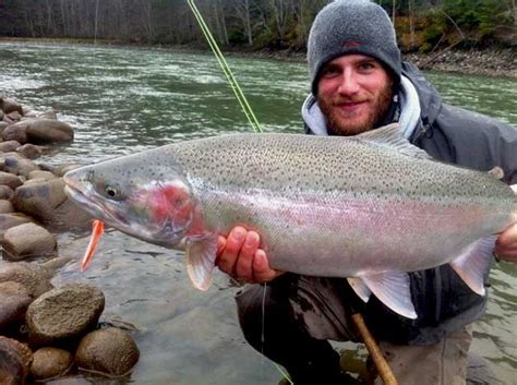 Skeena BC Fishing Report | Fishing with Rod