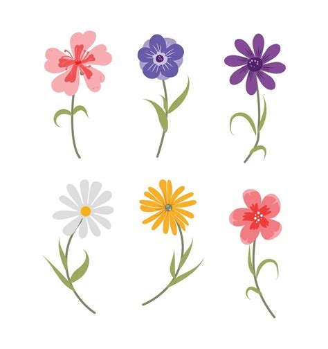 Beautiful vector spring flowers 20739388 Vector Art at Vecteezy