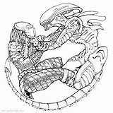 Predator Coloring Pages Free And Printable  XColoringscom sketch template