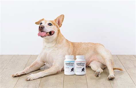 Supplements for Senior Dogs | JustFoodForDogs | JustFoodForDogs