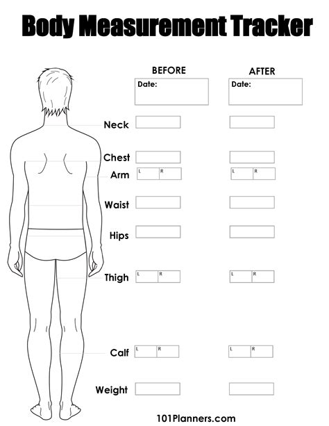 Printable Male Body Measurements Chart