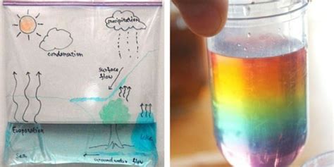 Water Experiments: Science Activities Your Kids Can Dive Into