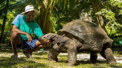 Seychelles Wildlife | Expert Africa