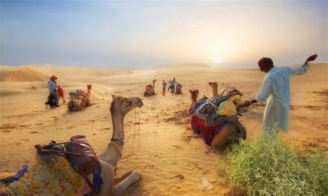 Enjoy Jaisalmer Desert Safari on camel & Jeep with JTP