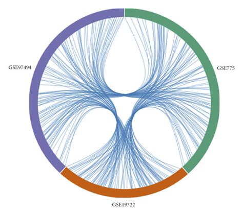 Integrated bioinformatics analysis of AMI GEO datasets. (a) The... | Download Scientific Diagram