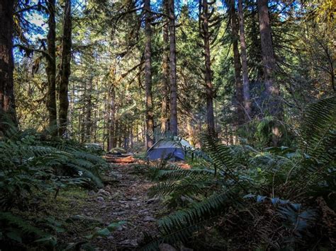 14+ Spots for Free Camping in Oregon and How to Find More