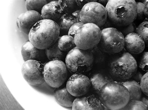 The Melting Pot: Black and White Wednesday - Blueberries, freshly ...