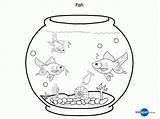 Fish Tank Coloring Page  Home sketch template