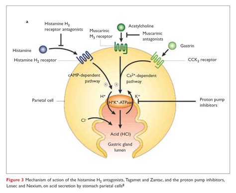 Molecular pathology and the art of drug design - Drug Discovery World (DDW)