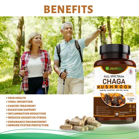 Chaga Mushroom Powder Full Spectrum - JeaKen