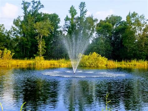 Diy Pond Fountain How To Make - Best Decorations