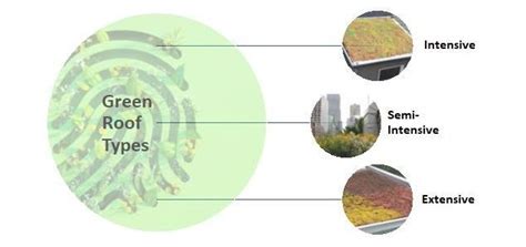 Green Roof Types | Build Team Blog