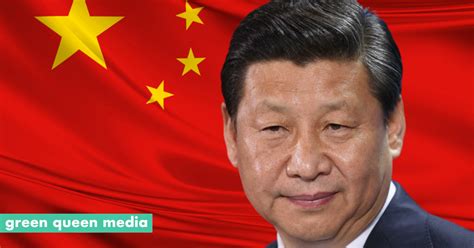 President Xi References China’s Alt-Protein Sector In National Food ...