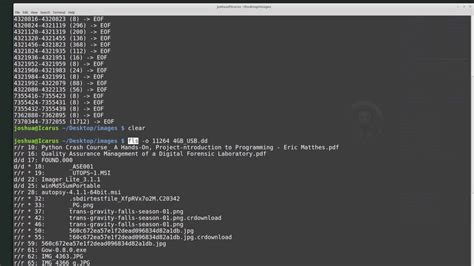 Beginner Introduction to The Sleuth Kit (command line) - YouTube