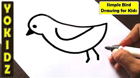 Simple Bird Drawing for Kids - Yokidz - YouTube