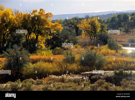 little bighorn river, montana, usa Stock Photo - Alamy