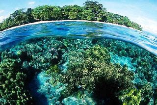 Guide to Bunaken National Park, Manado, Indonesia