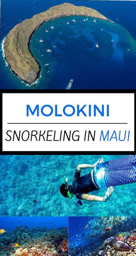 Snorkeling at molokini crater – Artofit